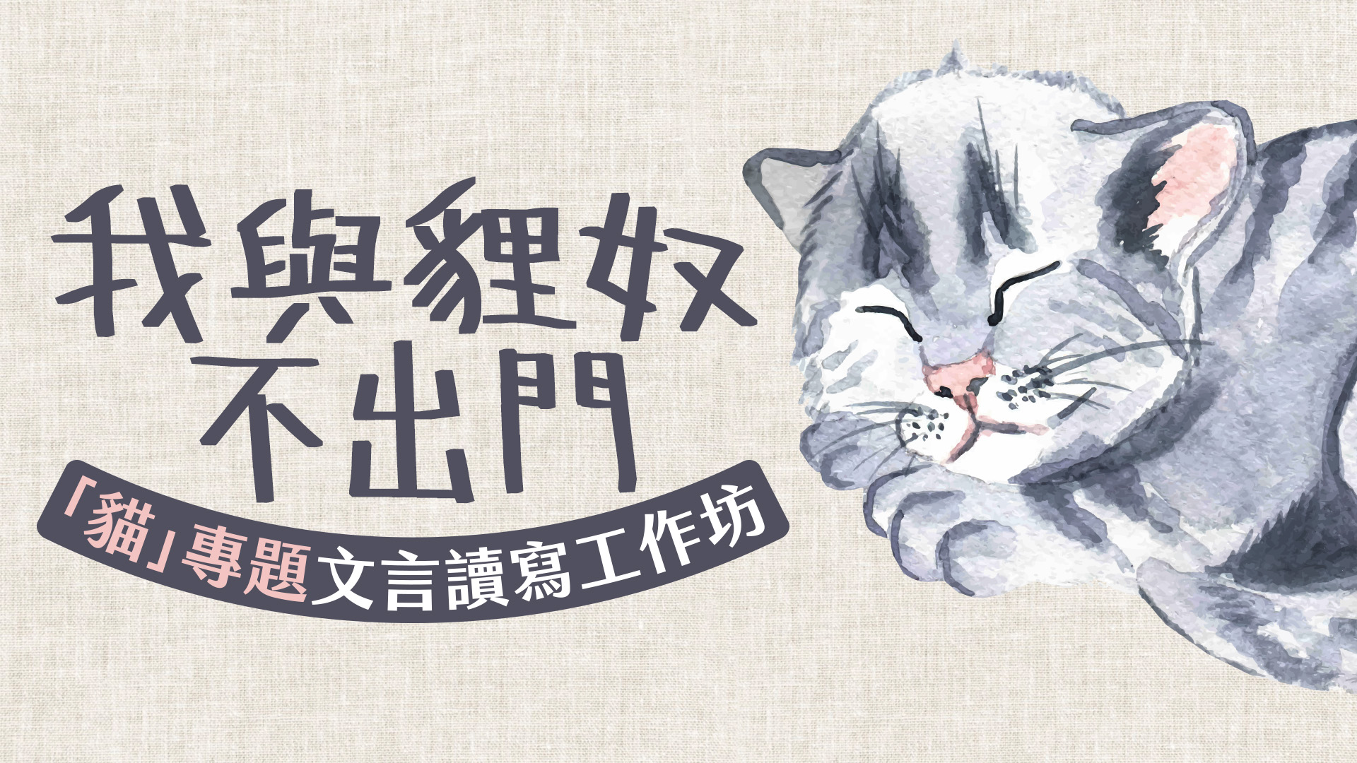【貍奴作品分享2】🐱