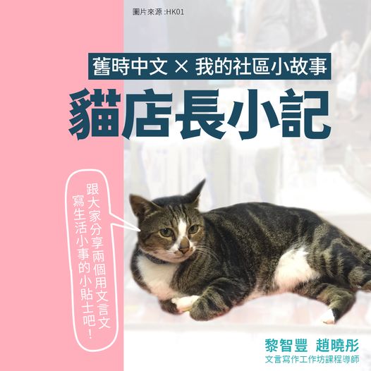 舊時中文 × 我的社區小故事:貓店長小記