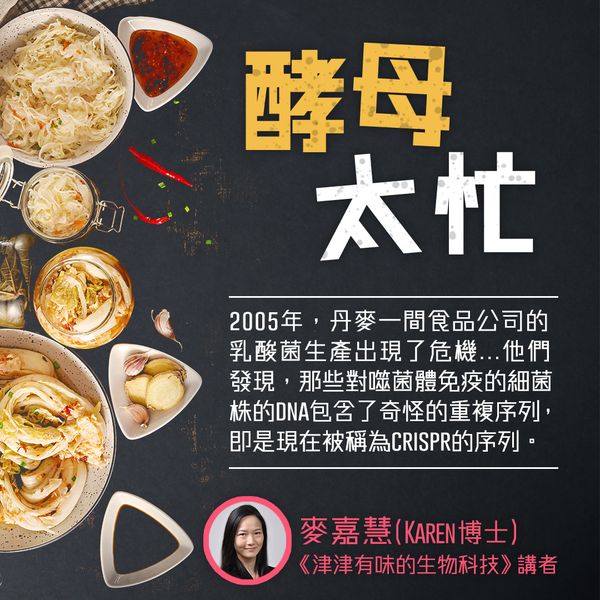 酵母太忙
