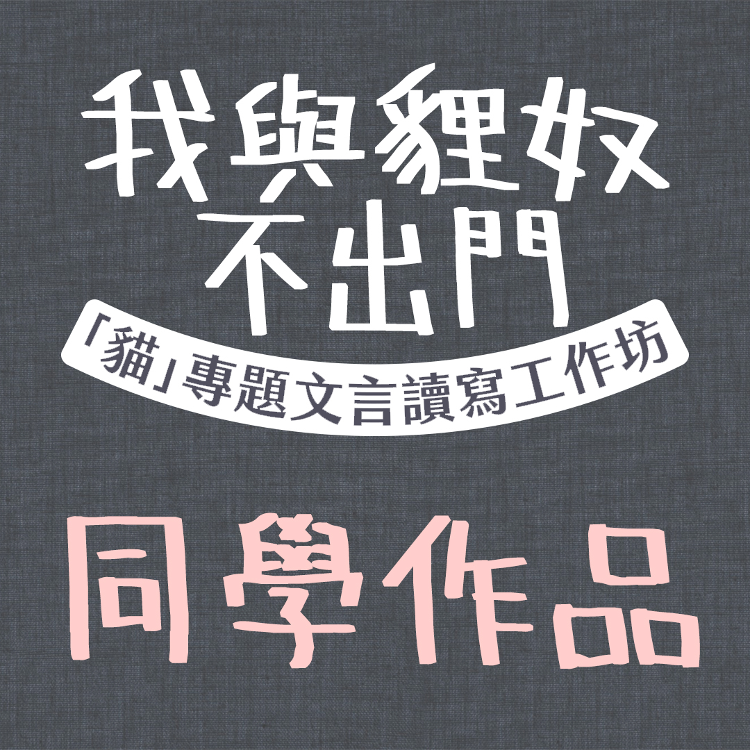 【貍奴作品分享2】🐱