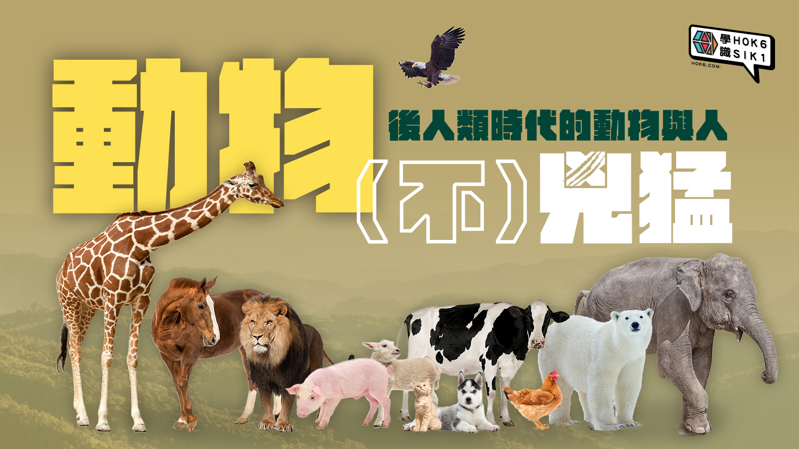 Course banner